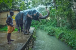 unnamed - 2025-09-23T105519.071